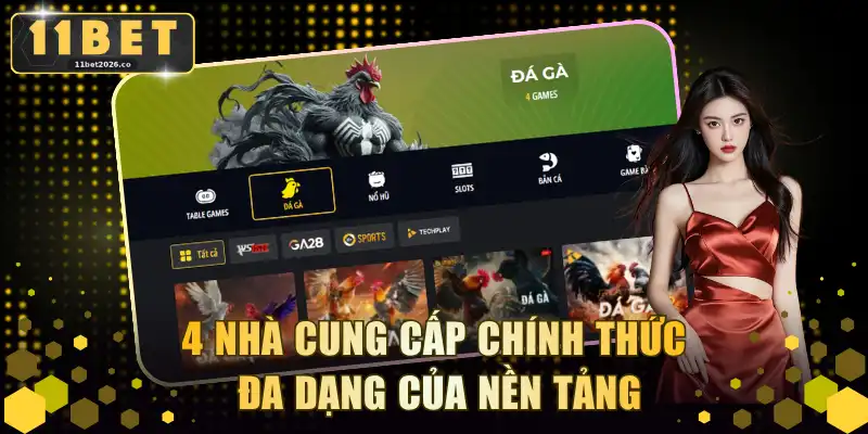 4 nhà cung cấp chính thức đa dạng của nền tảng