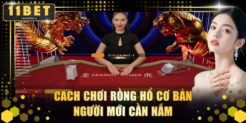 Cách chơi Rồng Hổ cơ bản người mới cần nắm