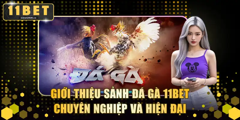 Giới thiệu sảnh đá gà 11BET chuyên nghiệp và hiện đại