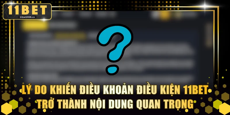 Lý do khiến điều khoản điều kiện 11BET trở thành nội dung quan trọng